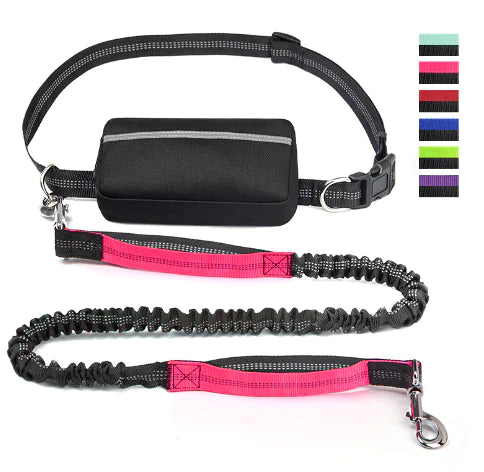 Doggy Run Waist Pack