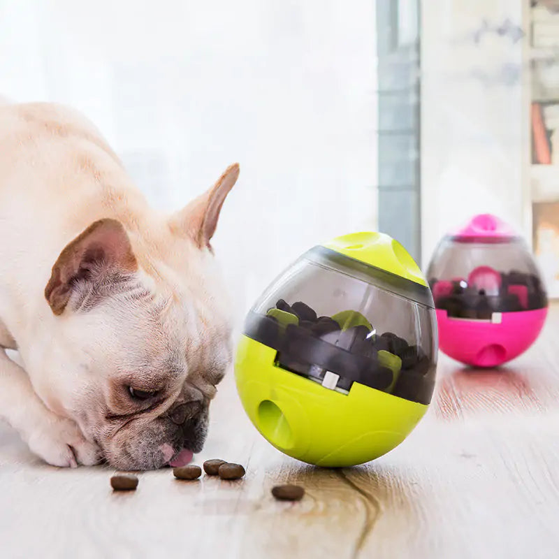 BrainPaw™️ Interactive food dispenser