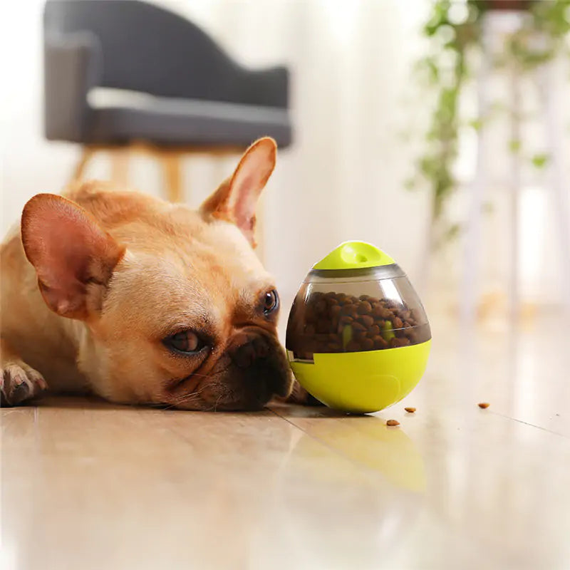 BrainPaw™️ Interactive food dispenser