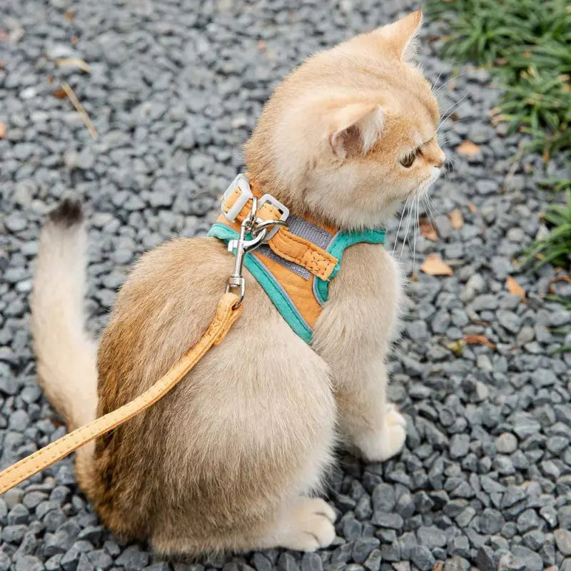 Cat Harness Leash