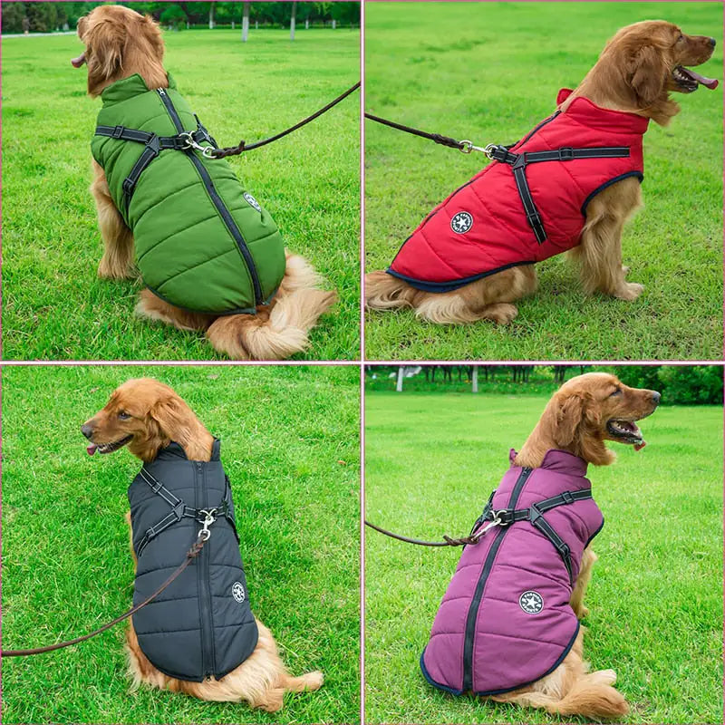 The Winter Canine Jacket