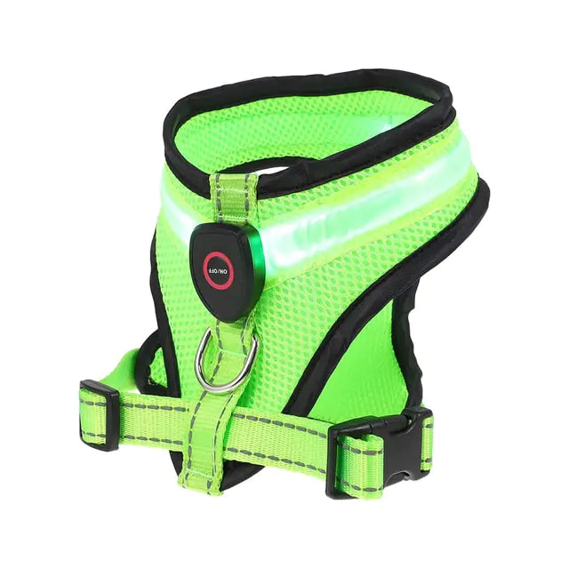 LED Night Time Harness