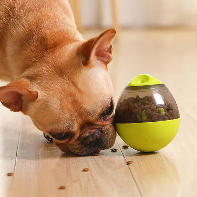 BrainPaw™️ Interactive food dispenser