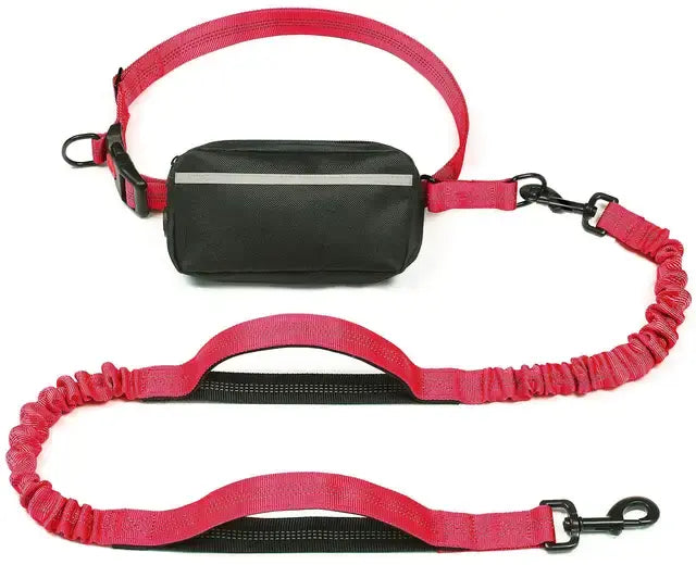 Doggy Run Waist Pack