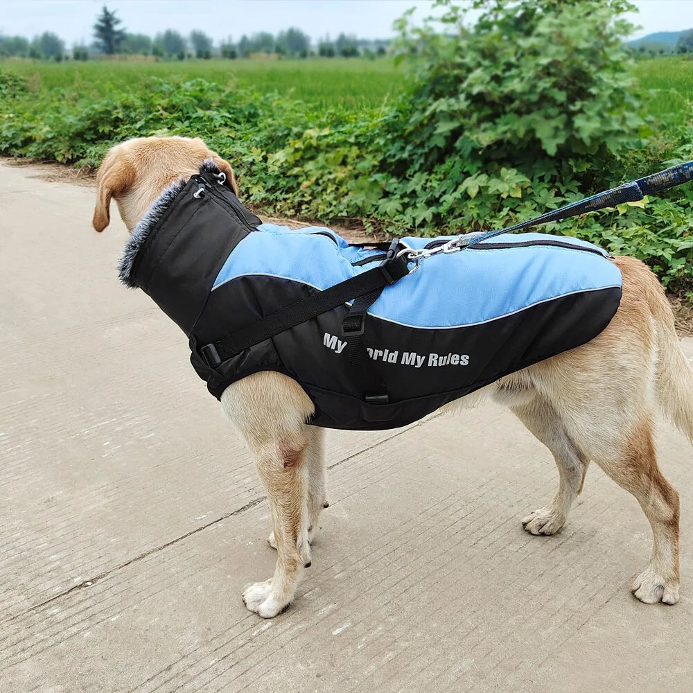 Thick Waterproof Winter Coat with Harness