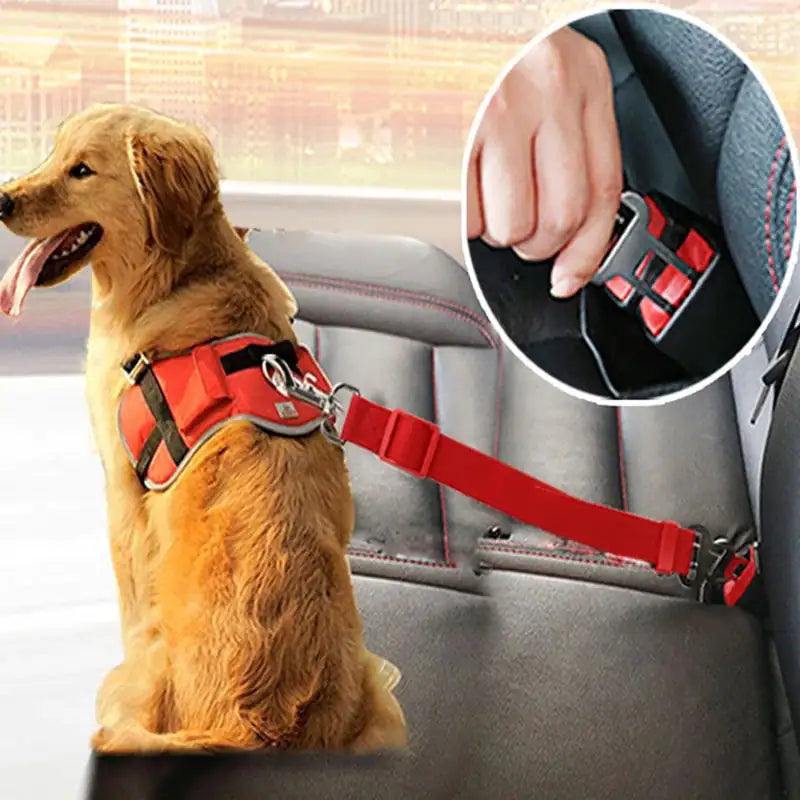 Adjustable Safety Seat Belt