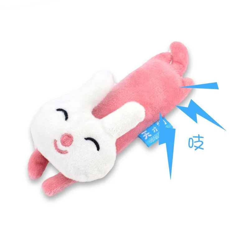 Stuffed Squeaky Toy