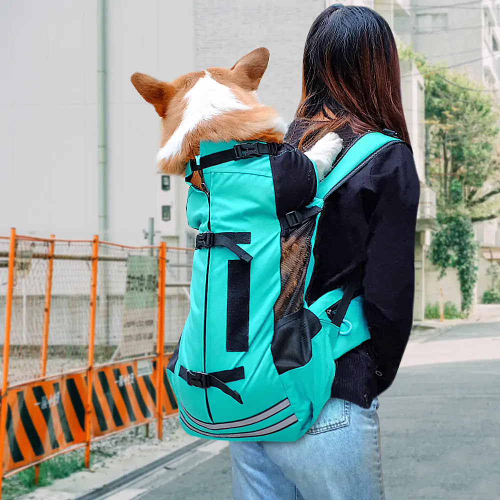 Doggy Backpack