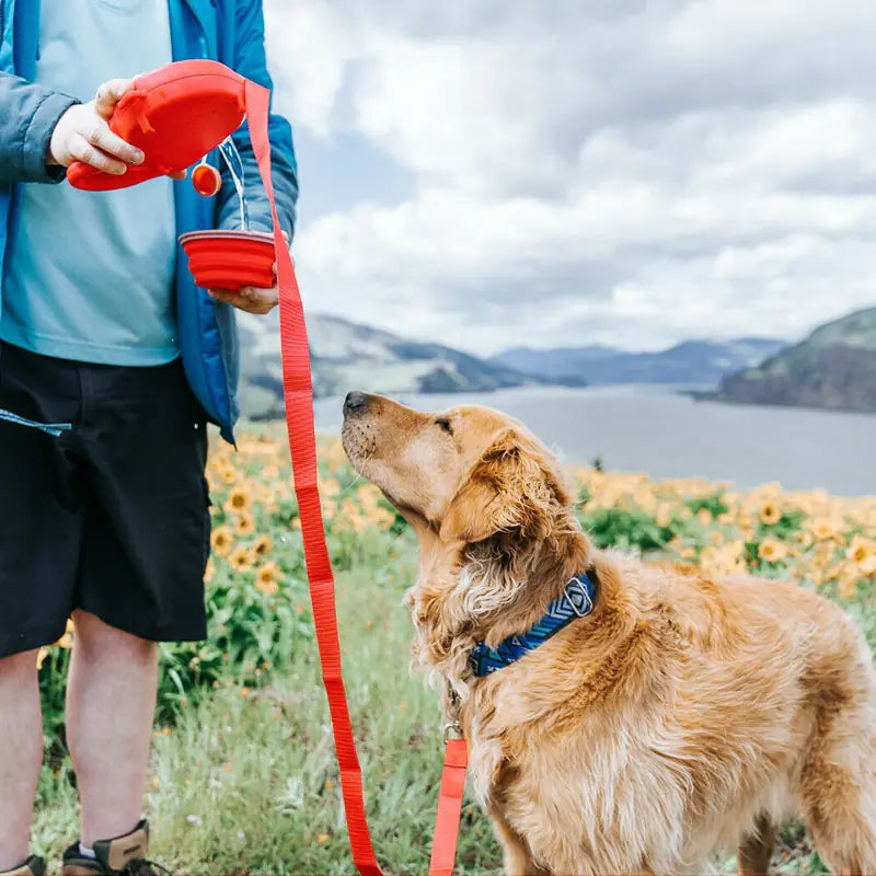 Pet Leash Water Bottle