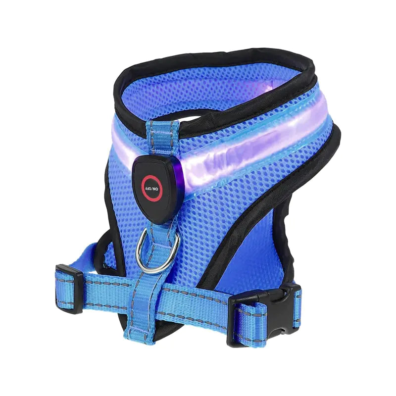 LED Night Time Harness