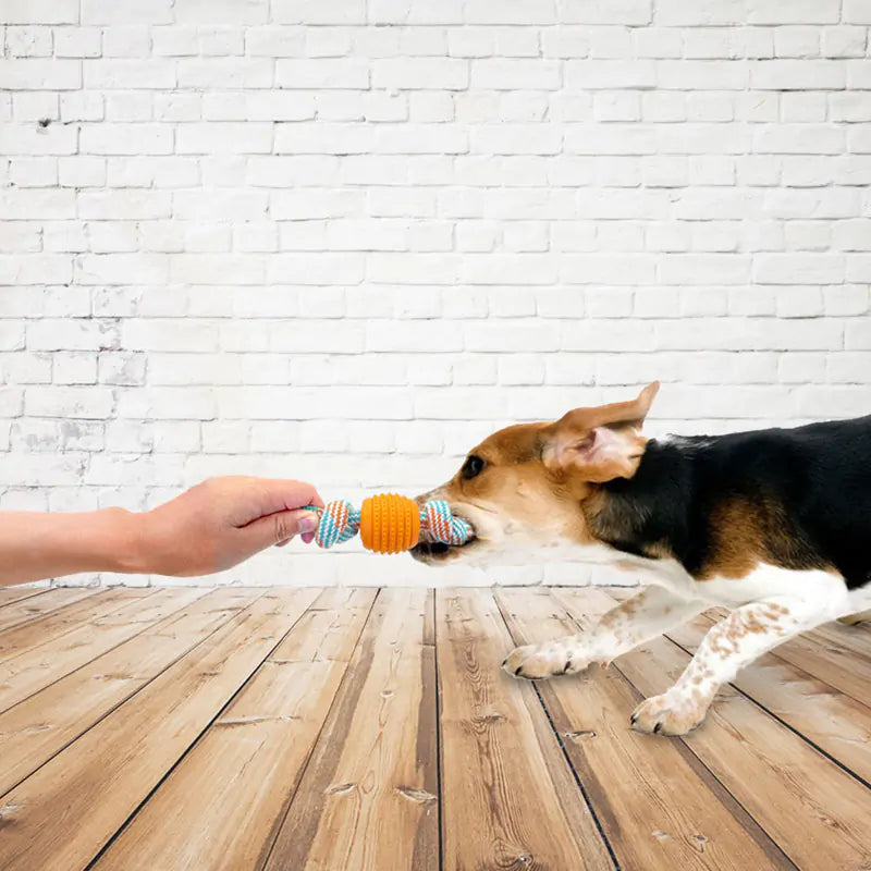 Bite Resistant Rope Toy